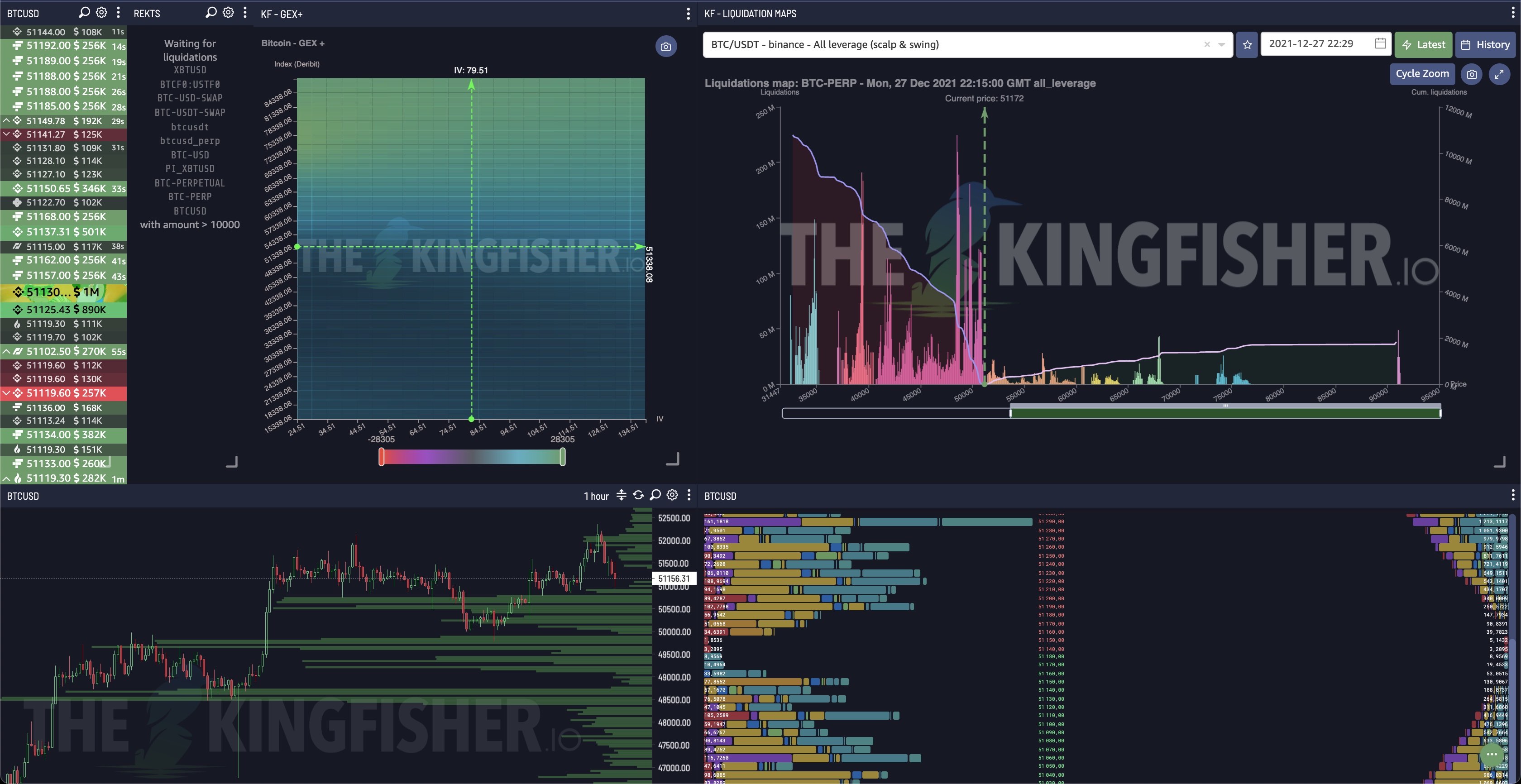 The Kingfisher Light