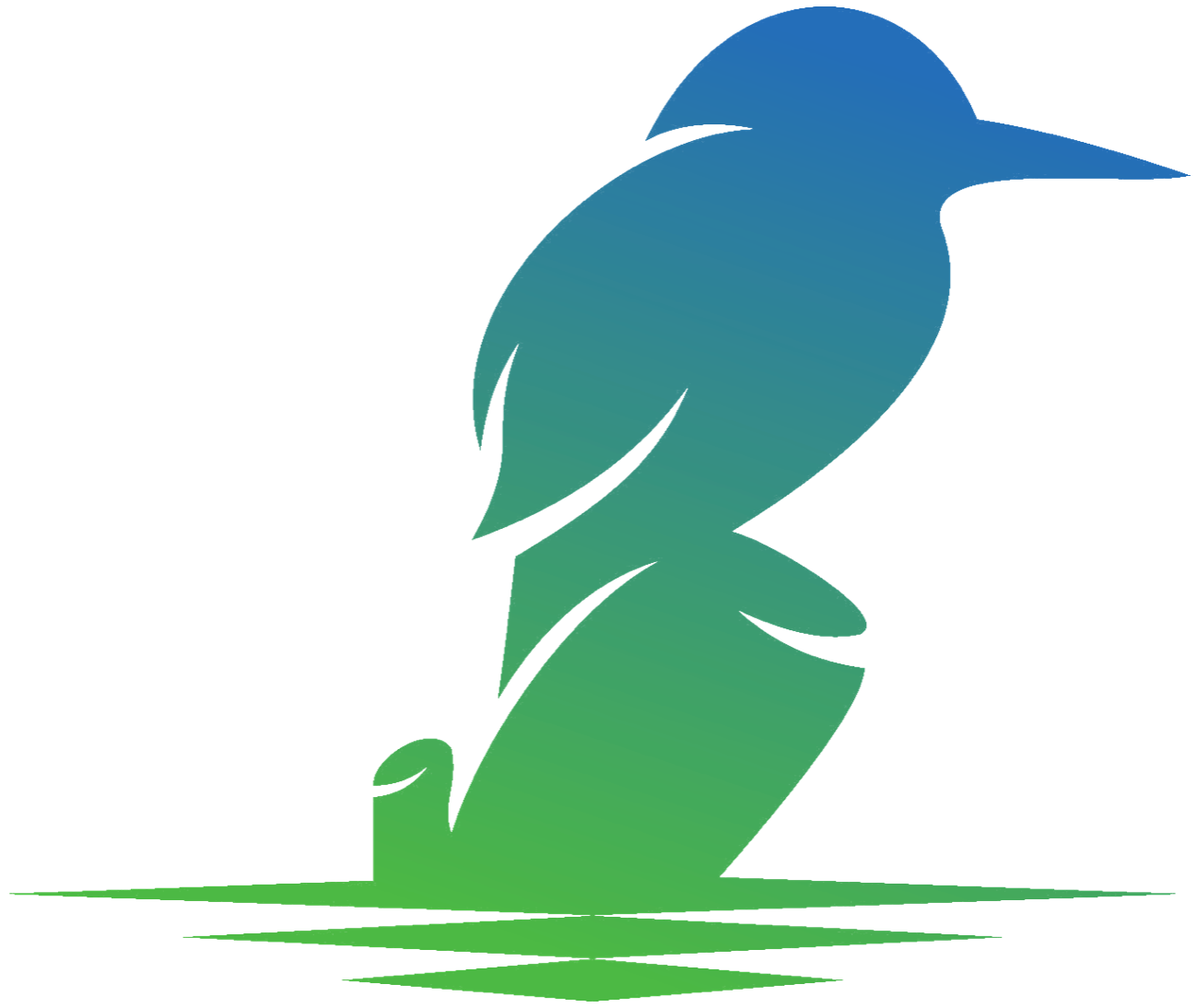 The Kingfisher Light